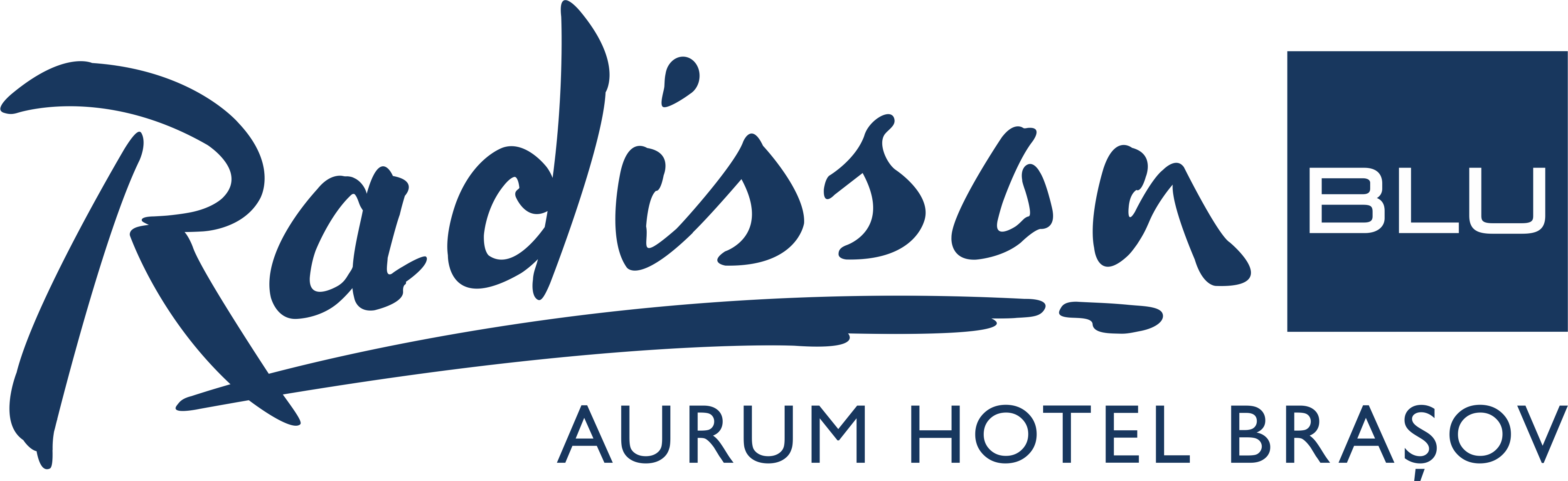 Radisson Blu Aurum Hotel Brașov